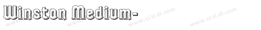 Winston Medium字体转换